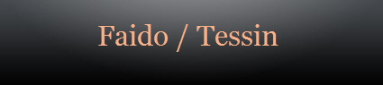 Faido / Tessin 