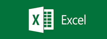 Logo EXCL