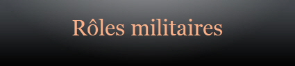 Rles militaires