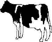 Vache